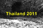thailand2011_small