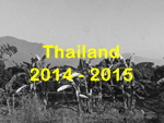 tn_thailand2014_201502